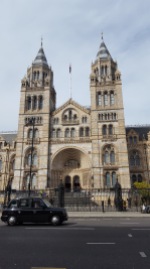 Entrance to the Natural History Museum